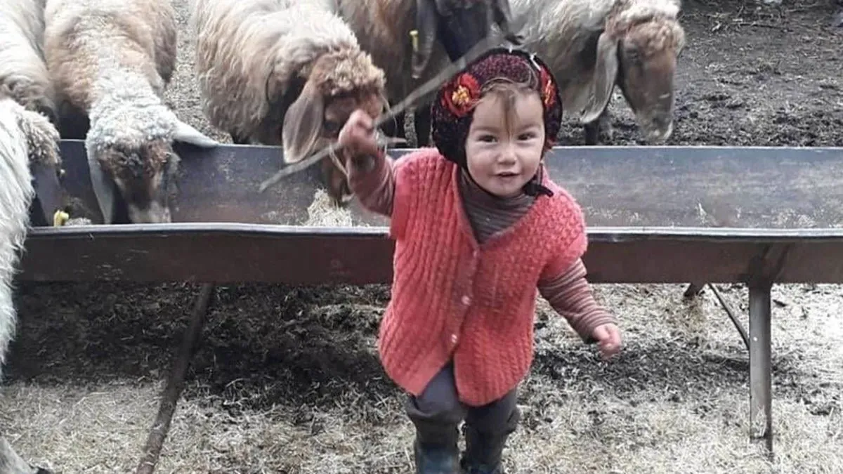Müslüme'nin Mezar Taşı Kırıldı! Müge Anlı’da Gündem Olan Olay Yine Gündemde