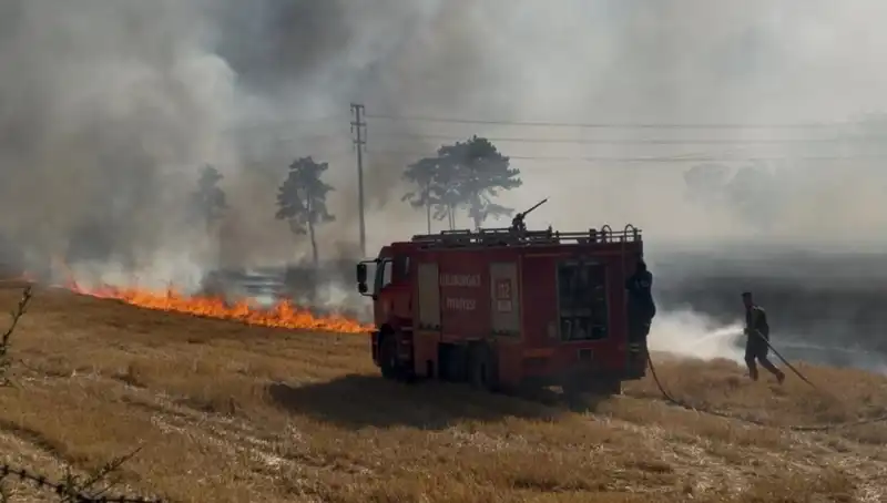 Kırklareli'nde Ani Patlayan Anız Yangını Paniğe Neden Oldu