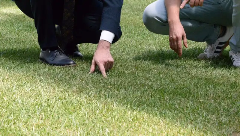 Stadyum Zeminiyle İlgili Son Gelişmeler: 10 Gün İçinde Hazır Olacak mı?