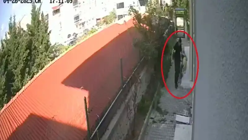 Veteriner Doktorun Şok Eylemi: Sahiplendiği Köpekleri Parçaladı!