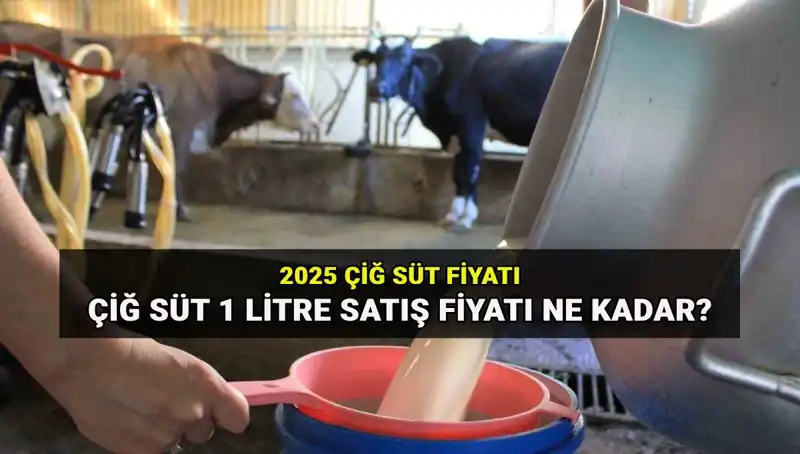 2025'te Çiğ Süt Fiyatları: Ulusal Süt Konseyi'nden Dikkat Çeken Açıklama