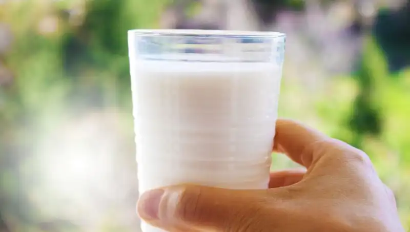 Uzman Doktor, Sütün Şişkinliğe Neden Olup Olmadığını Açıkladı
