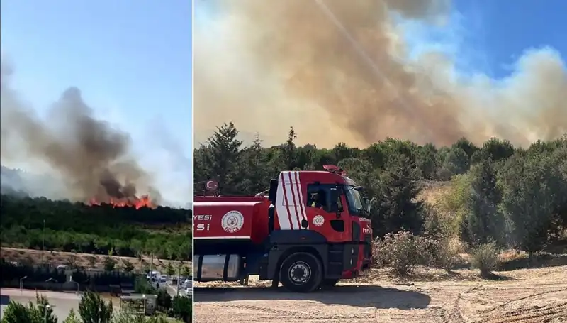 Gebze’de Orman Yangını: Yangın Söndürme Ekipleri Zamanla Yarışıyor