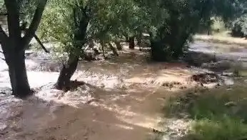 Mersin'de Yaşanan Sağanak Yağış Sele Dönüştü: Son Durum Nedir?