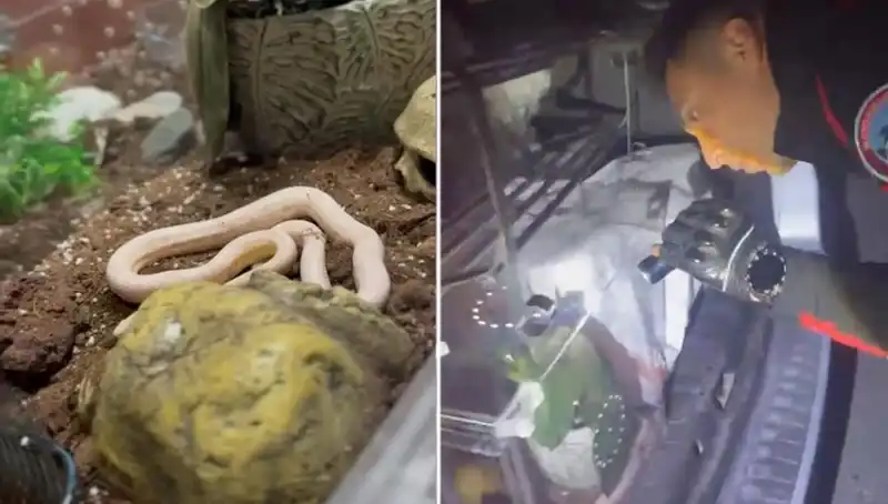 Devriye Ekipleri Aracın Arka Koltuğunda Şok Bir Keşif Yaptı!