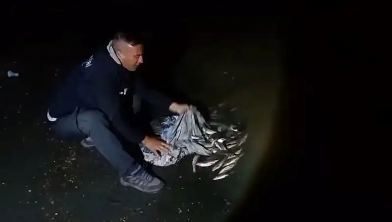 İnci Kefali Avcılığında Tarihi Rekor: Bir Ton Balık Yakalandı!