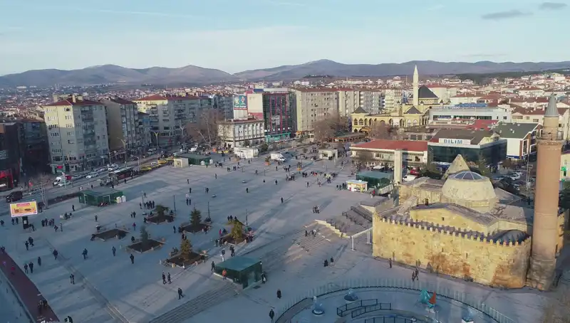 Kırşehir’de Keşfedilen Yeni Böcek Türü Bilim Dünyasını Heyecanlandırdı