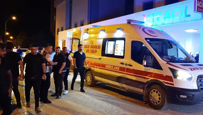Kardeşi İçin Kendini Tehlikeye Attı, Dramatik Bir Sonuçla Karşılaştı