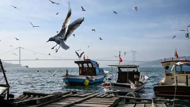 İstanbul’da Bahar Havası Geldi: Tarih Belli Oldu!