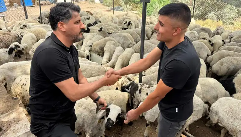 Kurbanlık Alırken Dikkat! Tuz ve Sumak Hilesi İhtimaline Karşı Uyanık Olun
