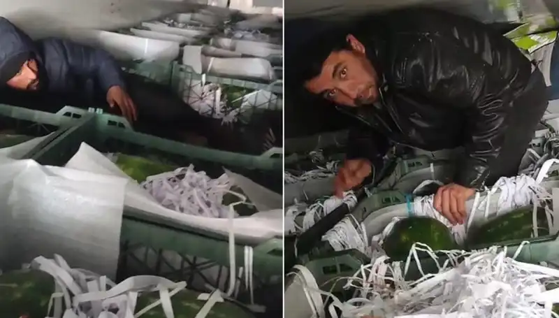 Karpuzların Arasında Şok Eden Görüntü: Göçmenlerle Dolu Bir Dorse