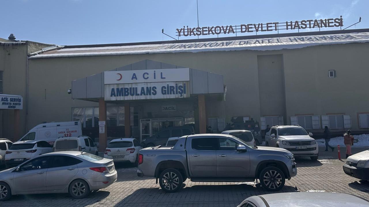 Hakkari'de başıboş köpek saldırısında acı son