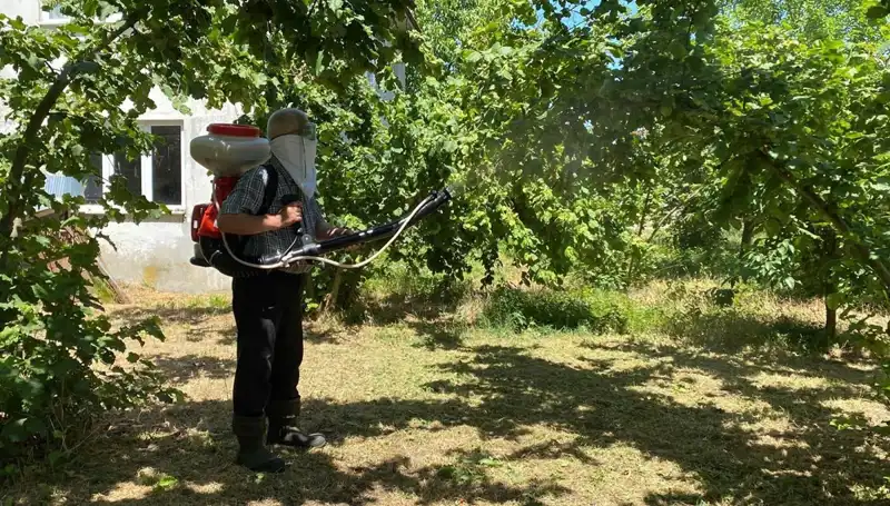 Çiftçilerin Umudu: Kükürt ve Samuray Arısı ile Yeni Dönem