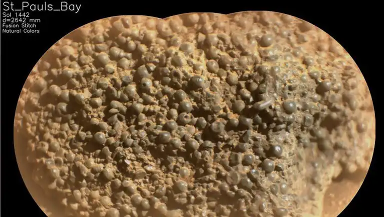 Mars'ta Şaşırtıcı Bir Keşif: Örümcek Yumurtaları Bulundu mu?