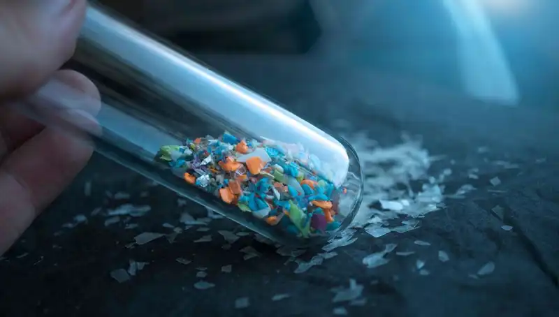 Mikroplastikler Beynin Kapılarını Zorluyor: Etkileri ve Tehditleri Neler?