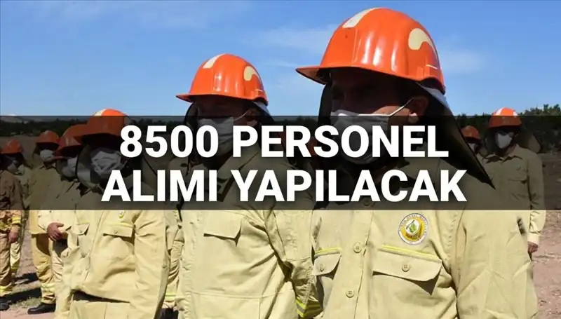 Tarım ve Orman Bakanlığı 2025: 8500 Yeni Personel Alımı İçin Merak Edilenler