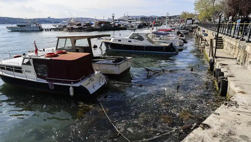 İstanbul'da Müsilaj Krizi: Denizin Derinliklerindeki Tehlikeye Dikkat!