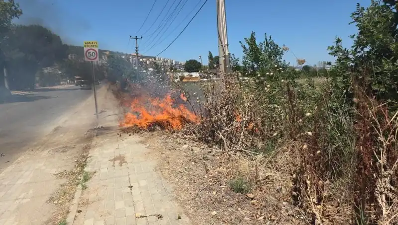 Bursa'da Otluk Alanda Çıkan Yangın, Büyük Paniğe Neden Oldu!