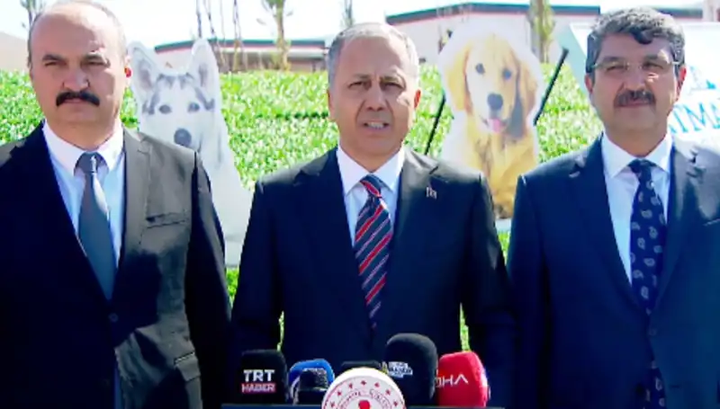 Sokak Köpekleri Tartışması: İçişleri Bakanlığı’nın 81 İle Gönderdiği Müfettişlerin Amacı Nedir?
