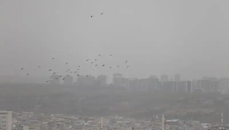 Şanlıurfa'da Asi Hava: Toz Bulutu Şehri Sardı!