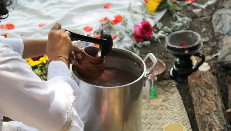Ayahuasca Nedir? Yasak mı? İşte Bilmeniz Gerekenler!