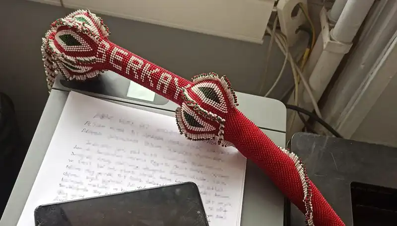 Kırbaçlı Saldırganların Pençesinden Kurtulma Mücadelesi
