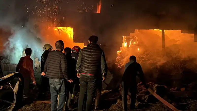 Bolu'da Korkutan Ahır Yangını: Can Kaybı ve Maddi Zarar!