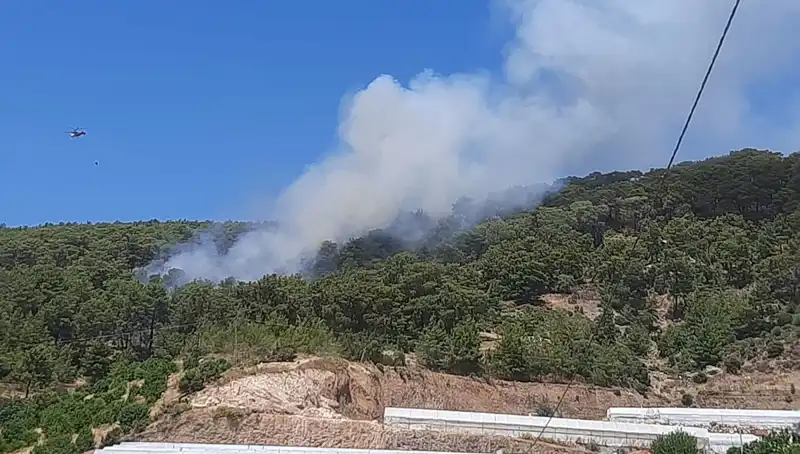 Kumluca Orman Yangını: Ekipler Seferber Oldu, Alevler Kontrol Altına Alındı