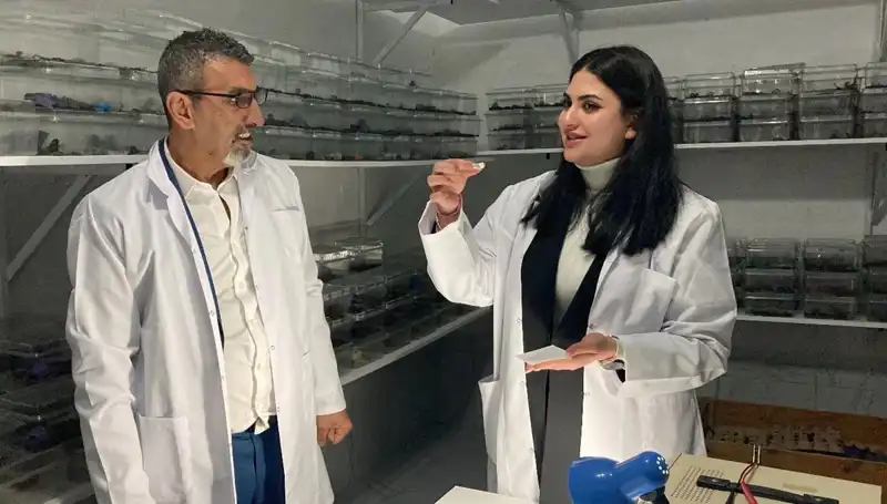 Akrep Zehrini Şekere Damlatıp Yiyenler Kimler? İşte İlginç Detaylar!