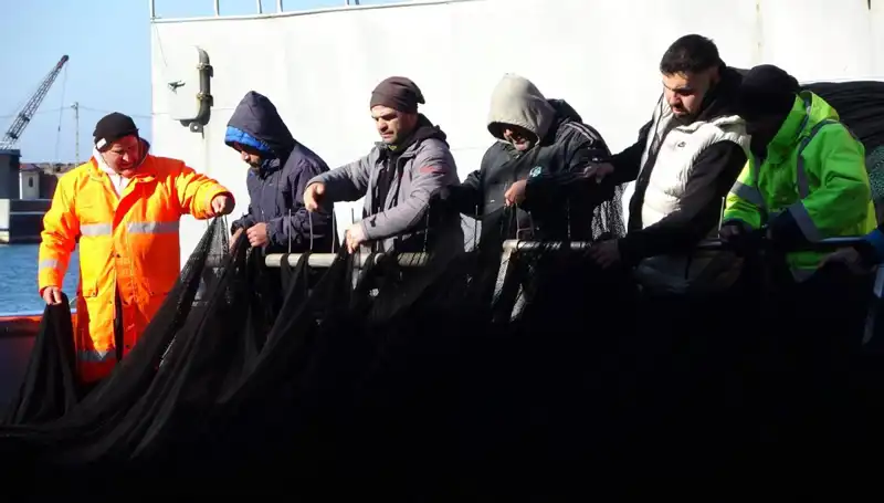 Hamsi Avı Alarm Veriyor: Tekne Sahipleri Erken Kapatmak Zorunda Kaldı