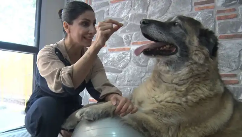 Obeziteyle Mücadelede Yeni Bir Yol: Duman'ın Zayıflama Serüveni