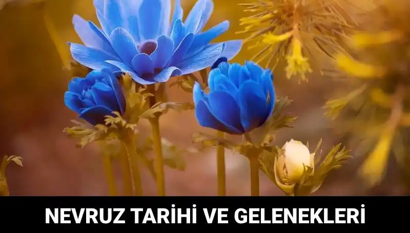 Nevruz Bayramı'nın Tarihçesi ve Gelenekleri: Ne Zaman Kutlanır?